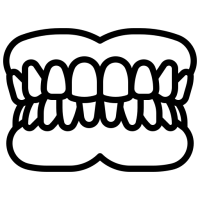 dentition
